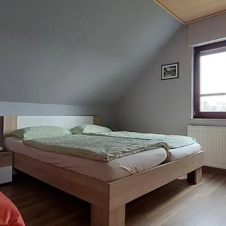 Fewo-schmidt-im-erzgebirge Daire Gelenau